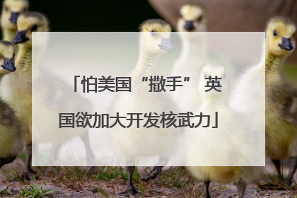 怕美国“撒手” 英国欲加大开发核武力