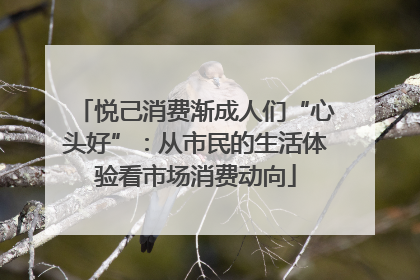 悦己消费渐成人们“心头好”：从市民的生活体验看市场消费动向