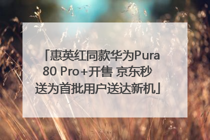惠英红同款华为Pura 80 Pro+开售 京东秒送为首批用户送达新机