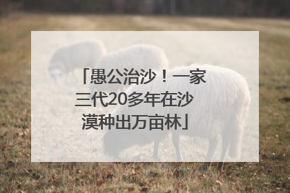 愚公治沙！一家三代20多年在沙漠种出万亩林
