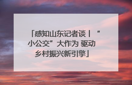 感知山东记者谈丨“小公交”大作为 驱动乡村振兴新引擎