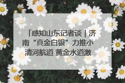感知山东记者谈｜济南“真金白银”力推小清河航道 黄金水道激活区域经济新动能
