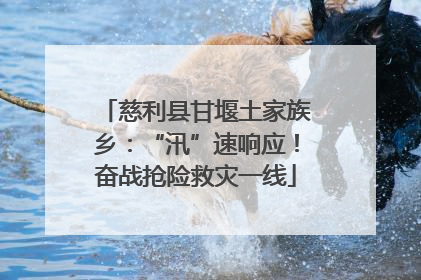 慈利县甘堰土家族乡：“汛”速响应！奋战抢险救灾一线