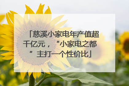 慈溪小家电年产值超千亿元，“小家电之都”主打一个性价比
