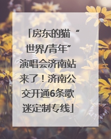 房东的猫“世界/青年”演唱会济南站来了！济南公交开通6条歌迷定制专线