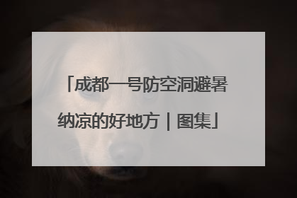 成都一号防空洞避暑纳凉的好地方｜图集