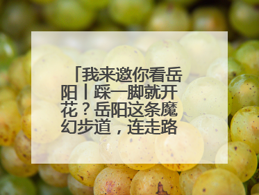 我来邀你看岳阳丨踩一脚就开花？岳阳这条魔幻步道，连走路都变得好玩！