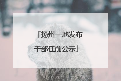 扬州一地发布干部任前公示