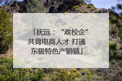 抚远：“政校企”共育电商人才 打通东极特色产销链