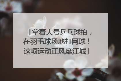 拿着大号乒乓球拍，在羽毛球场地打网球！这项运动正风靡江城