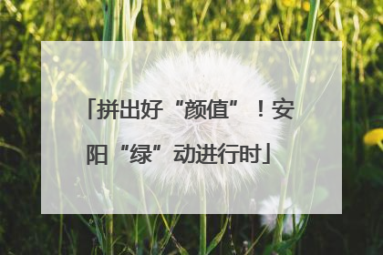 拼出好“颜值”！安阳“绿”动进行时