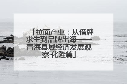 拉面产业：从借牌求生到品牌出海——青海县域经济发展观察·化隆篇