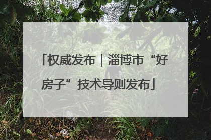 权威发布｜淄博市“好房子”技术导则发布