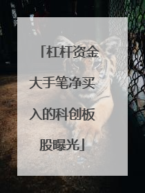 杠杆资金大手笔净买入的科创板股曝光
