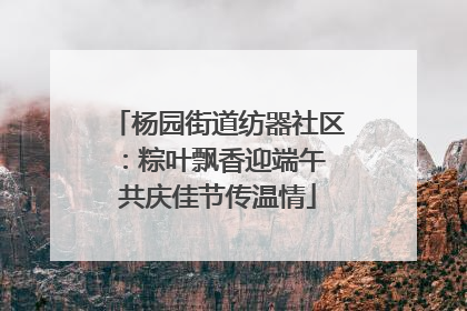 杨园街道纺器社区：粽叶飘香迎端午 共庆佳节传温情