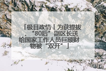 极目政情丨为获提拔，“80后”副区长送给国家工作人员巨额财物被“双开”