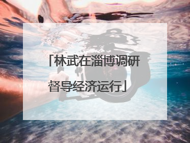 林武在淄博调研督导经济运行