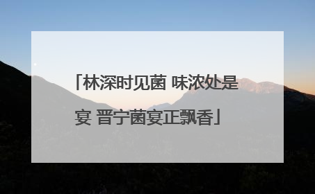 林深时见菌 味浓处是宴 晋宁菌宴正飘香