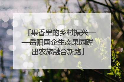 果香里的乡村振兴——岳阳国企生态果园蹚出农旅融合新路