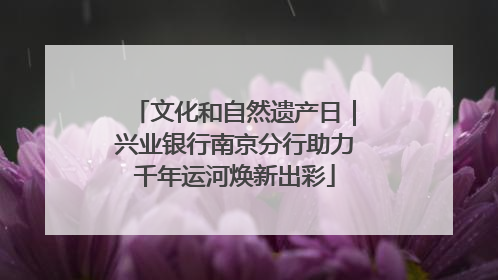 文化和自然遗产日｜兴业银行南京分行助力千年运河焕新出彩