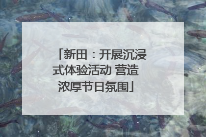新田：开展沉浸式体验活动 营造浓厚节日氛围