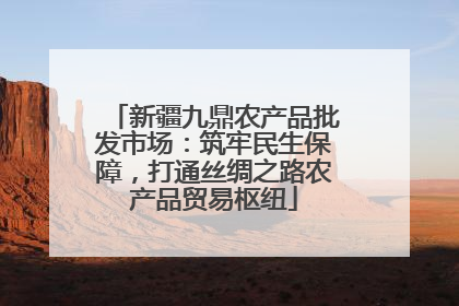 新疆九鼎农产品批发市场：筑牢民生保障，打通丝绸之路农产品贸易枢纽