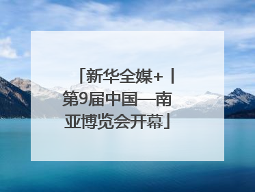 新华全媒+丨第9届中国—南亚博览会开幕