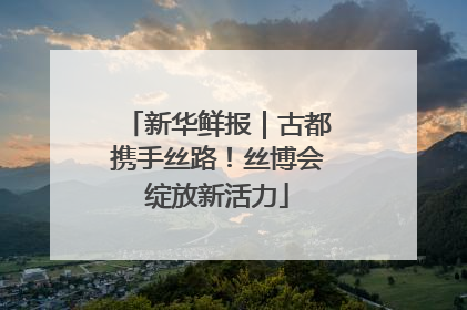 新华鲜报｜古都携手丝路！丝博会绽放新活力
