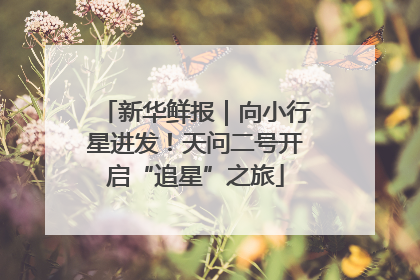 新华鲜报｜向小行星进发！天问二号开启“追星”之旅