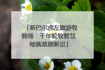 新巴尔虎左旗游牧转场：千年轮牧智慧绘就草原新景