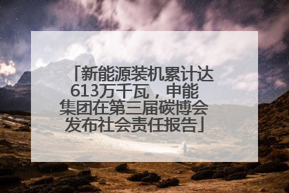 新能源装机累计达613万千瓦，申能集团在第三届碳博会发布社会责任报告