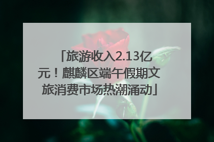 旅游收入2.13亿元！麒麟区端午假期文旅消费市场热潮涌动