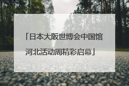 日本大阪世博会中国馆河北活动周精彩启幕