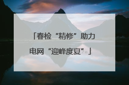 春检“精修”助力电网“迎峰度夏”