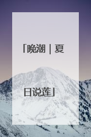 晚潮｜夏日说莲