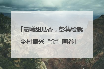 晨曦甜瓜香，彭集绘就乡村振兴“金”画卷