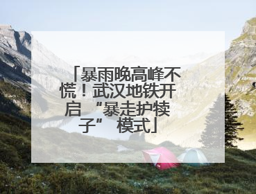 暴雨晚高峰不慌！武汉地铁开启 “暴走护犊子” 模式