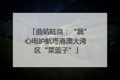 曲靖陆良：“蔬”心电护航粤港澳大湾区“菜篮子”