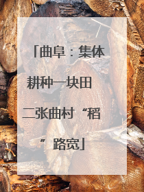 曲阜：集体耕种一块田 二张曲村“稻”路宽