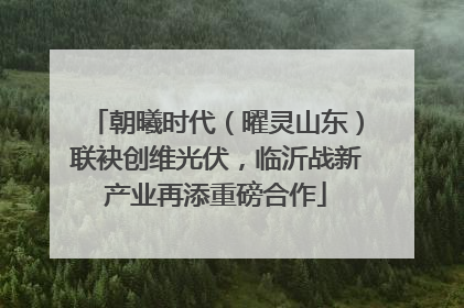 朝曦时代（曜灵山东）联袂创维光伏，临沂战新产业再添重磅合作
