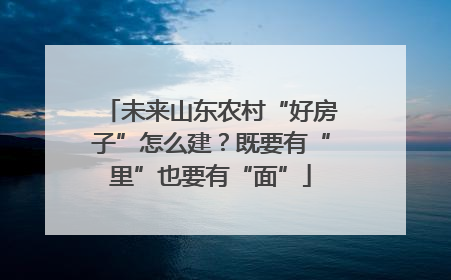 未来山东农村“好房子”怎么建？既要有“里”也要有“面”