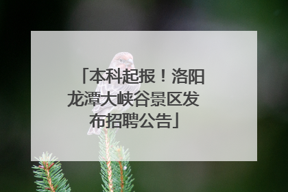 本科起报！洛阳龙潭大峡谷景区发布招聘公告