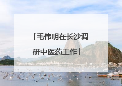 毛伟明在长沙调研中医药工作