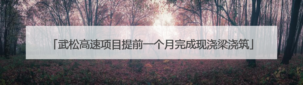 武松高速项目提前一个月完成现浇梁浇筑