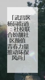 武昌区杨园街道：社校联合扮靓社区颜值 青春力量推动环保风尚