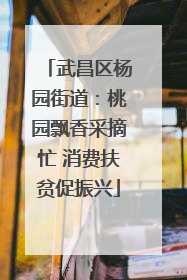 武昌区杨园街道：桃园飘香采摘忙 消费扶贫促振兴