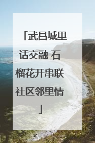 武昌城里话交融 石榴花开串联社区邻里情