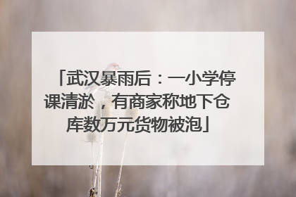 武汉暴雨后：一小学停课清淤，有商家称地下仓库数万元货物被泡