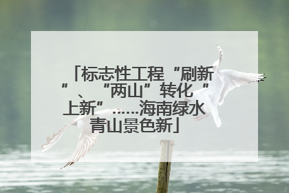 标志性工程“刷新”、“两山”转化“上新”……海南绿水青山景色新