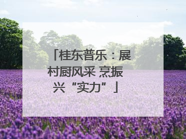 桂东普乐：展村厨风采 烹振兴“实力”
